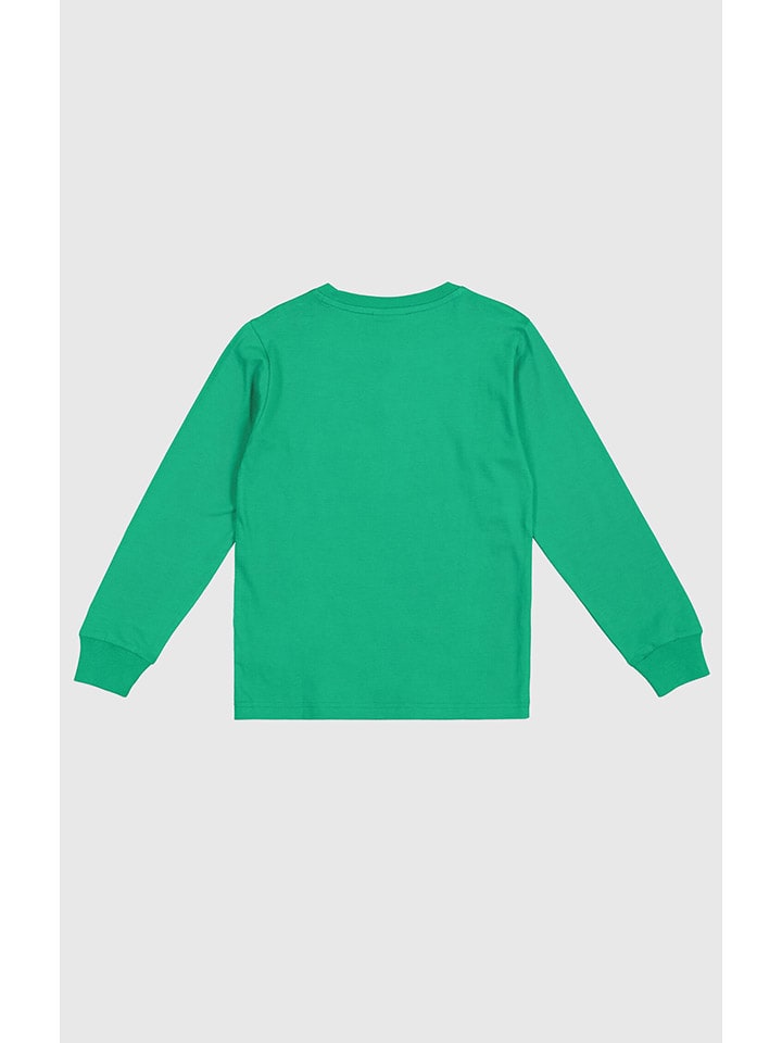 Champion Sweatshirt in Grün günstig kaufen