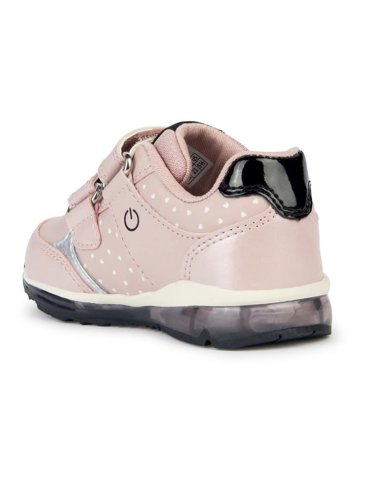 Geox Sneakers 