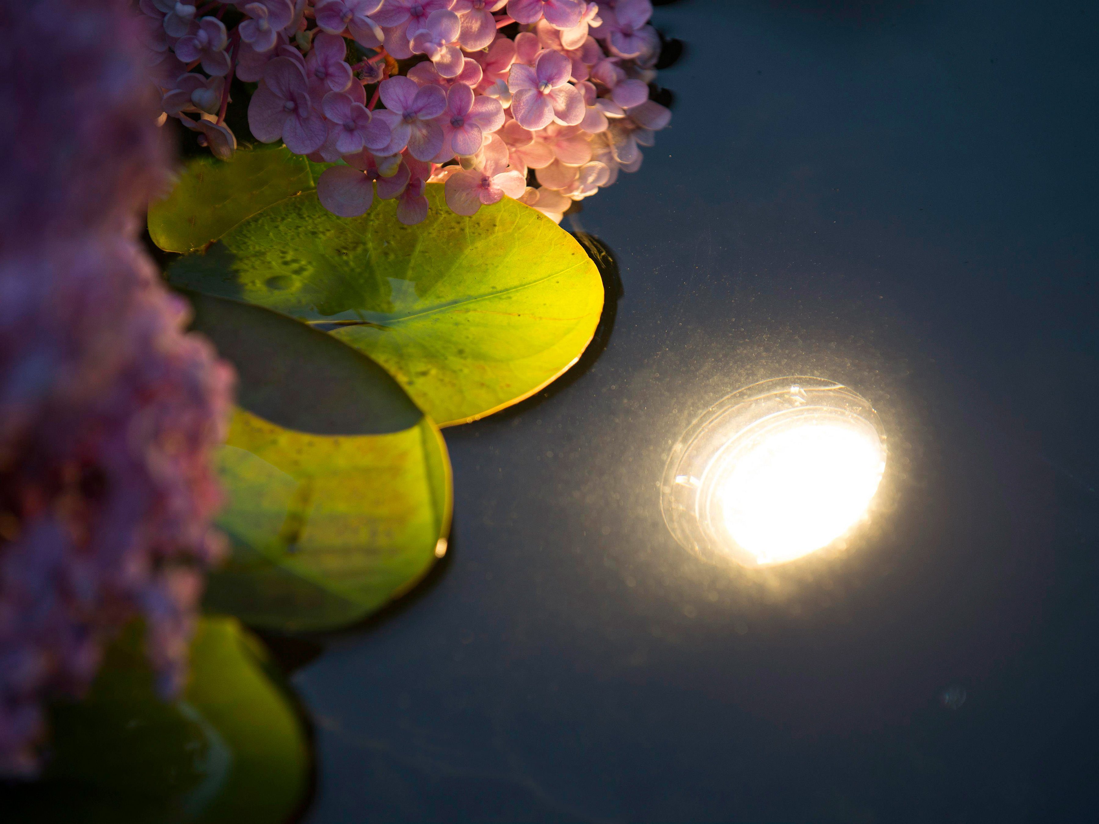Ubbink Teichleuchte AquaLight 60 LED, LED fest integriert