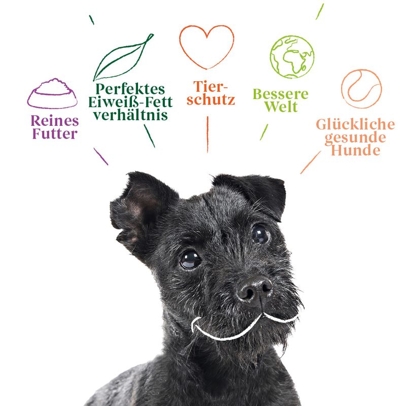 Yarrah Bio vegetarische Multi Hundekekse