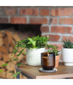 WoodWick ReNew Ginger & Tumeric Duftkerze 184 g