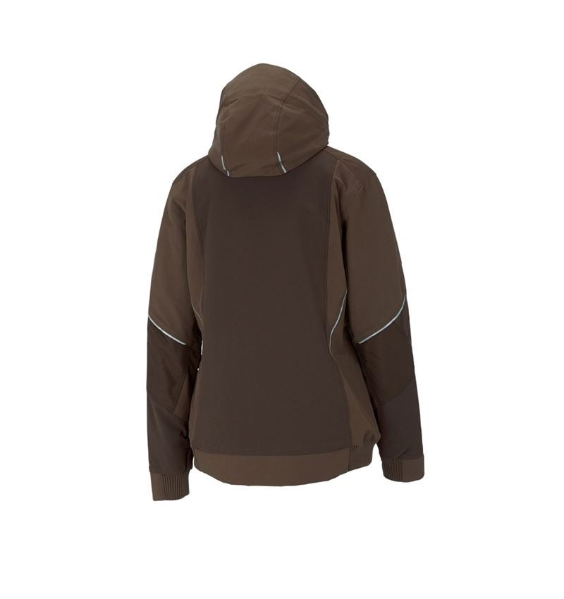 Winter Funktions Jacke e.s.dynashield, Damen
