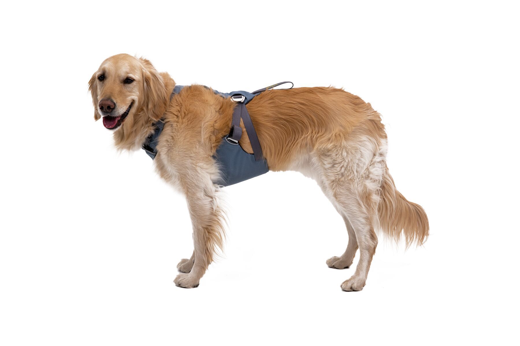Ruffwear Autozubehör Ruffwear Auto-Sicherheitsgeschirr Load Up™ L-XL