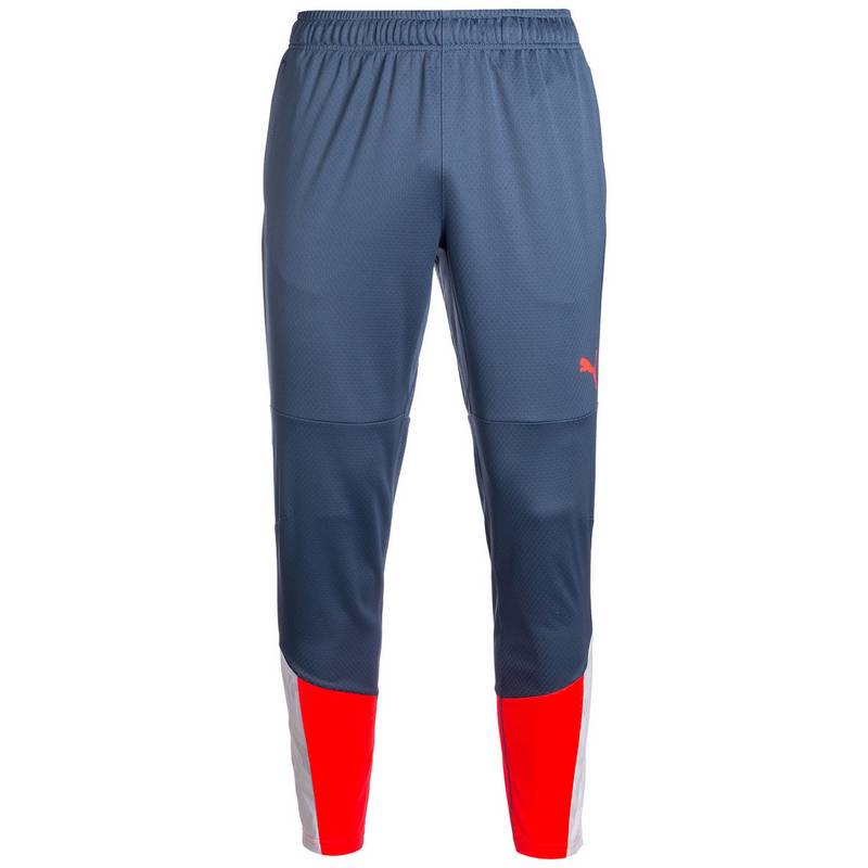 PUMA IndividualCUP Trainingshose Herren