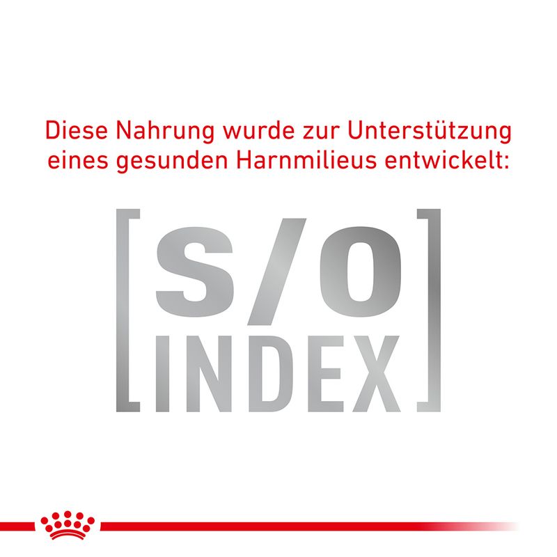 Royal Canin Veterinary Feline Skin & Coat zu TOP-Preisen | bitiba