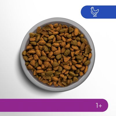 Perfect Fit Anti Hairball 1+ reich an Huhn