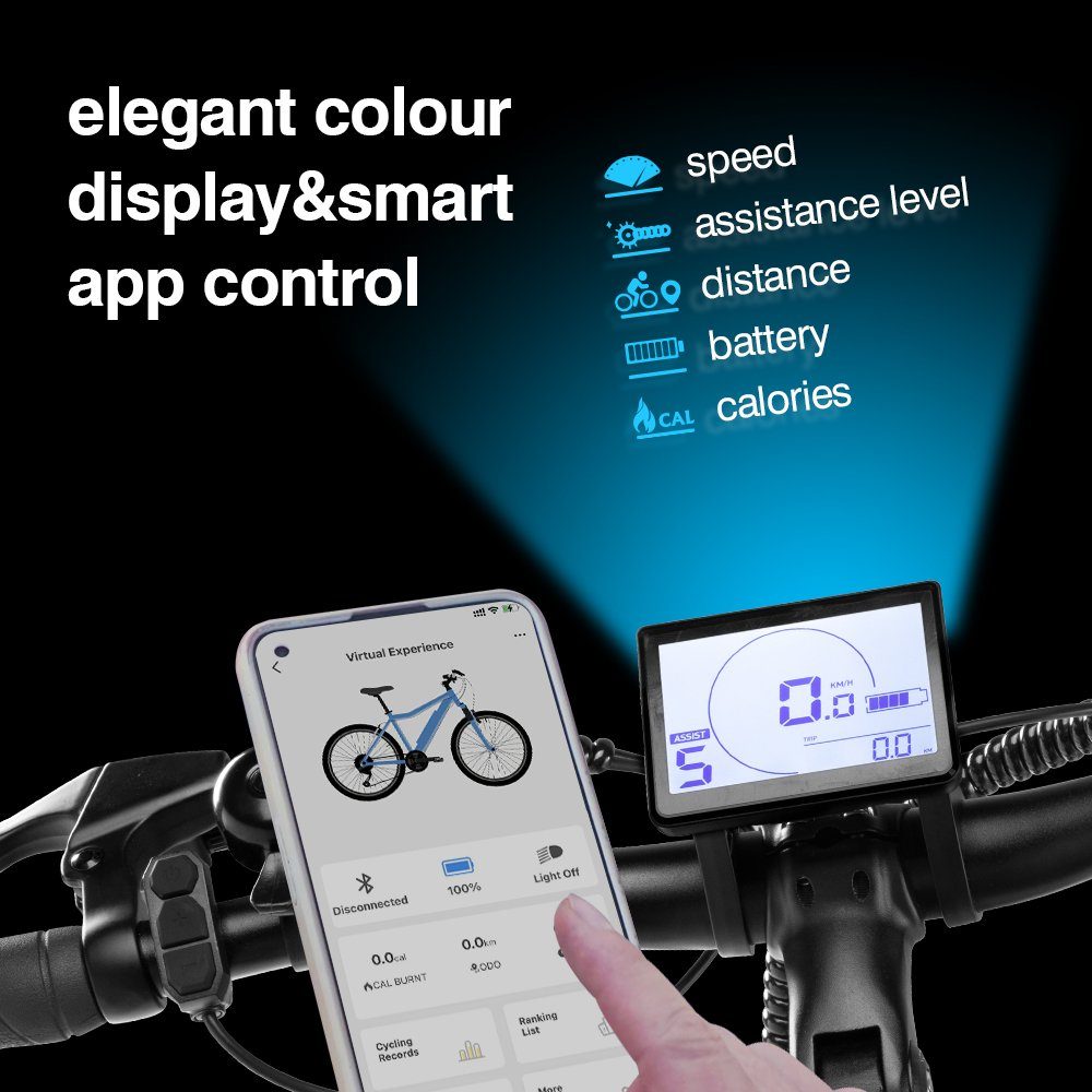 DOTMALL E-Bike nakxus Mittelmotor und breiten Reifen,9 Gang,36V 10.4AH 250W