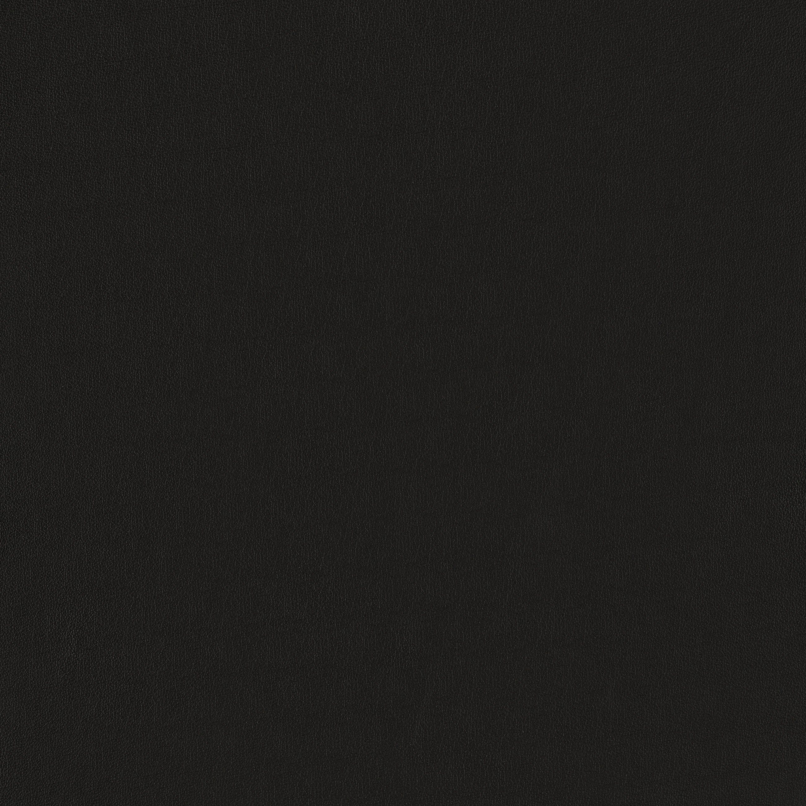 W.SCHILLIG Polsterstuhl jakob, mit Drahtrohrgestell in Schwarz pulverbeschichtet