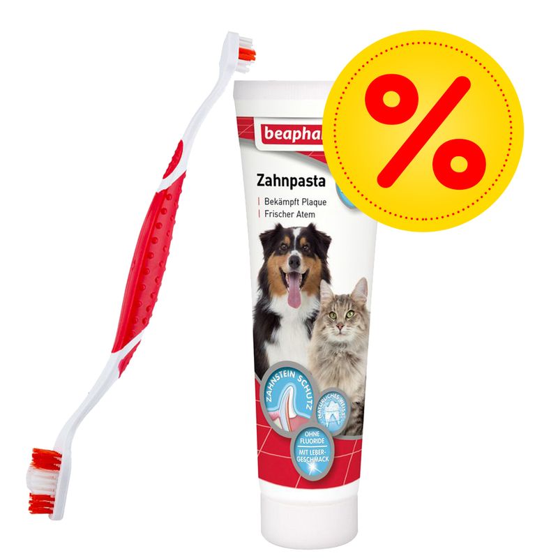 Beaphar Zahnpflege-Set zu TOP-Preisen