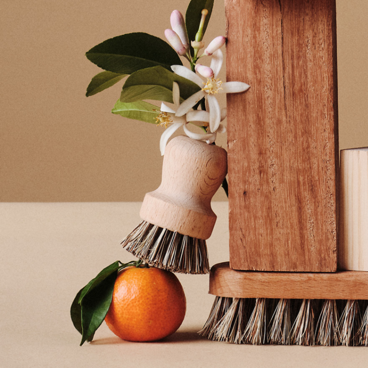 La Droguerie - Brosse pour la vaisselle