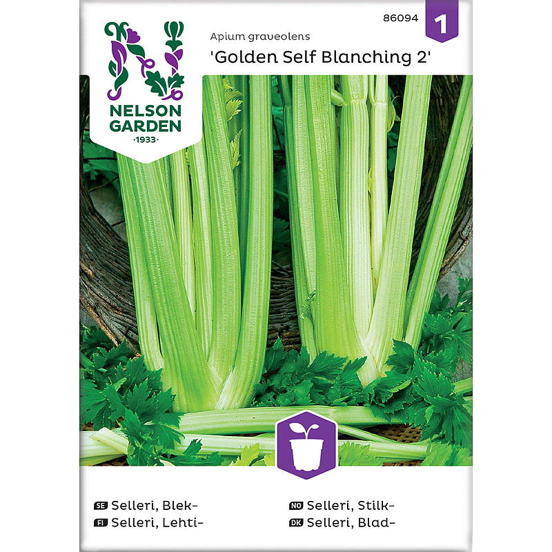 Nelson garden Frø Selleri Stilk-, Golden Self Blanching