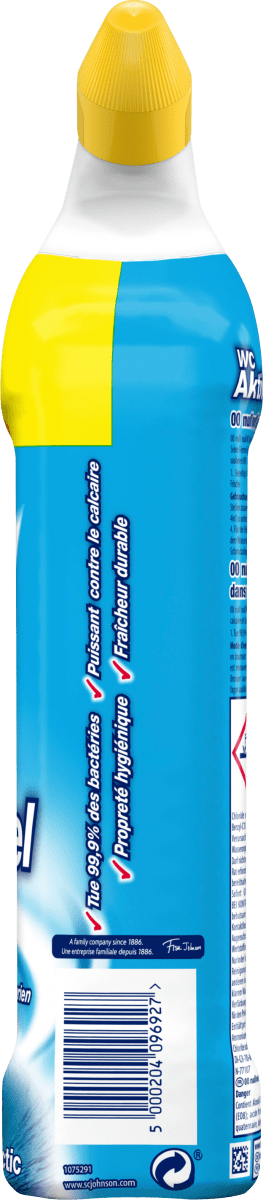 WC-Reiniger 00 Aktiv Gel 4in1 Cool Arctic, 750 ml