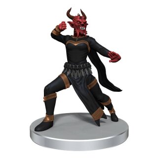 D&D Icons of the Realms Miniaturen vorbemalt Hobgoblin Warband (6)
