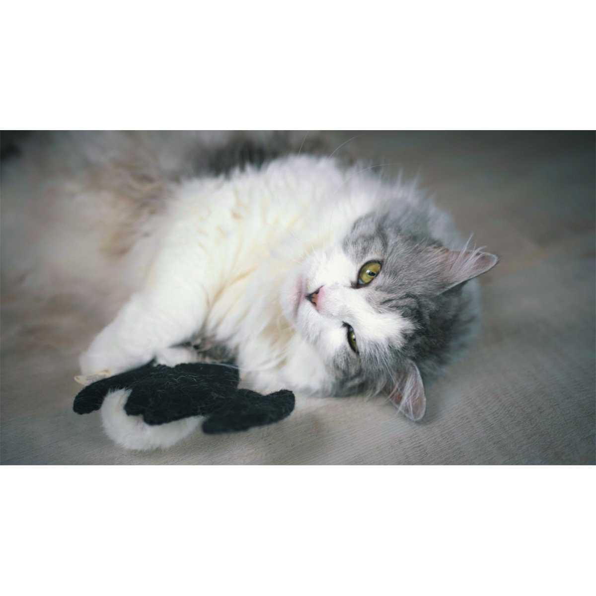 CATLABS Katzenspielzeug Flauschige Fledermaus kaufen
