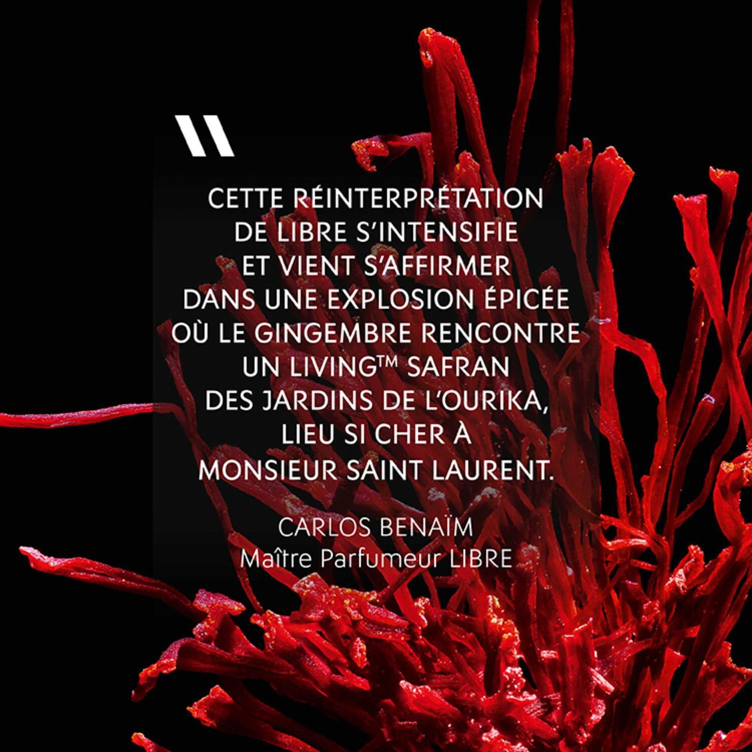 Yves St Laurent Libre le Parfum Eau de Parfum