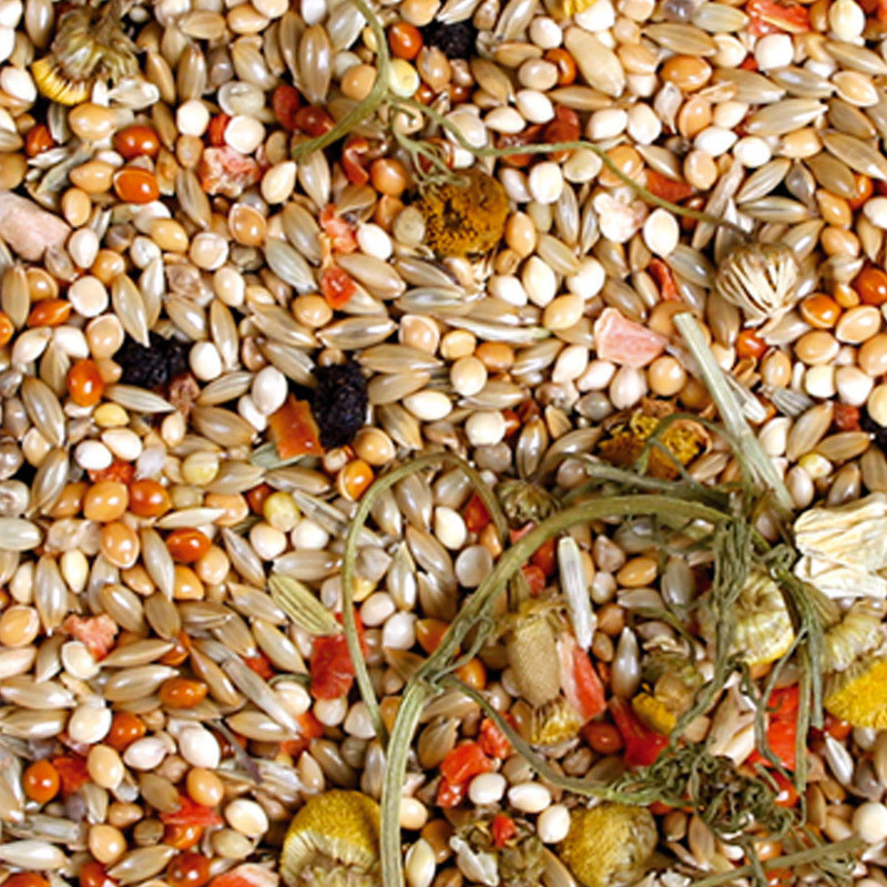 JR Farm Hauptfutter JR Farm JR Birds Premium Wellensittich 1kg