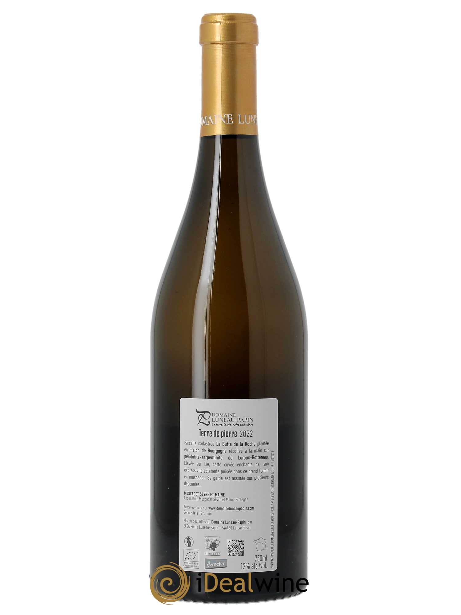 Muscadet-Sèvre-et-Maine sur lie Terre de Pierre Luneau-Papin  2022 - Lot de 1 Bouteille