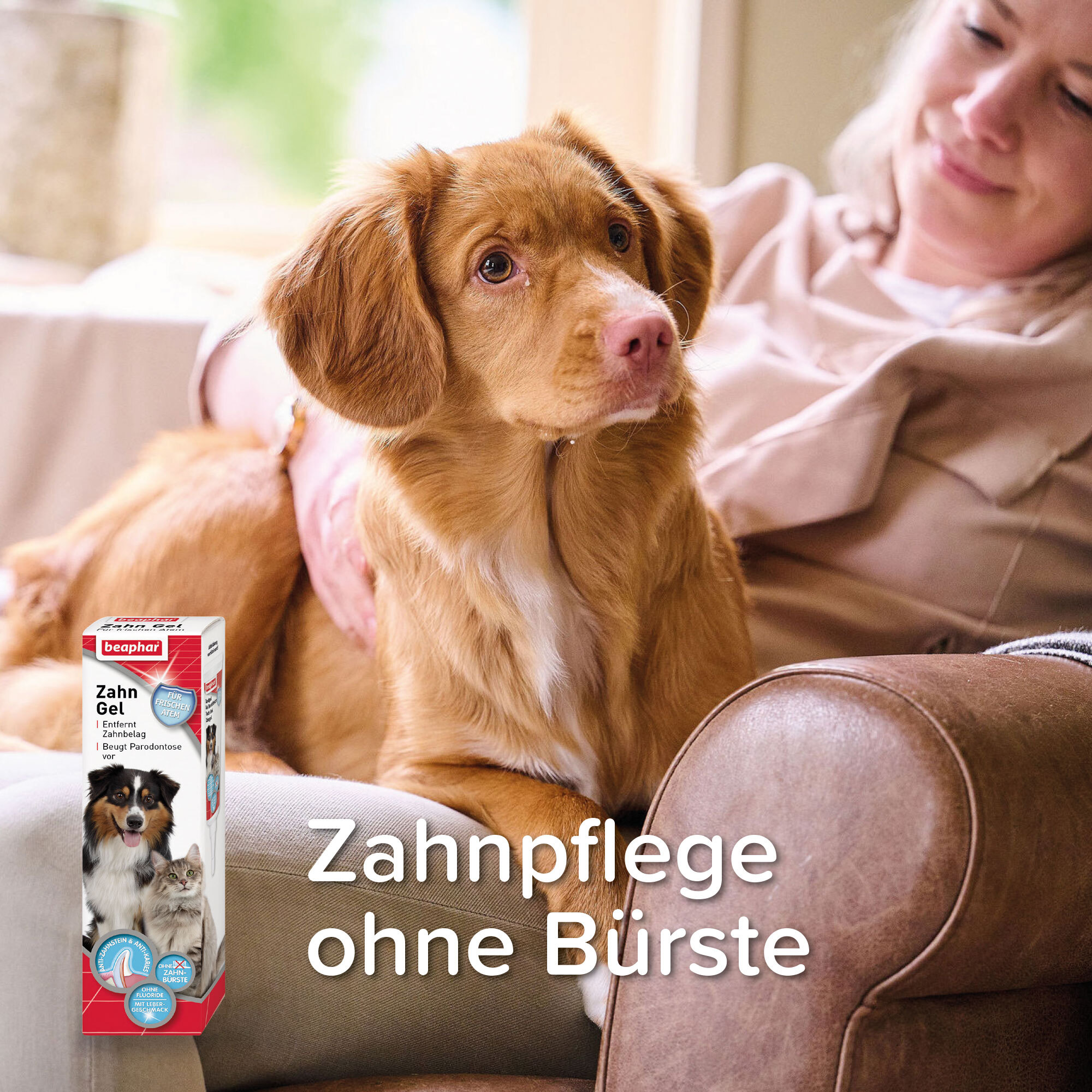 Beaphar Zahnpflege Beaphar Zahngel 100 ml