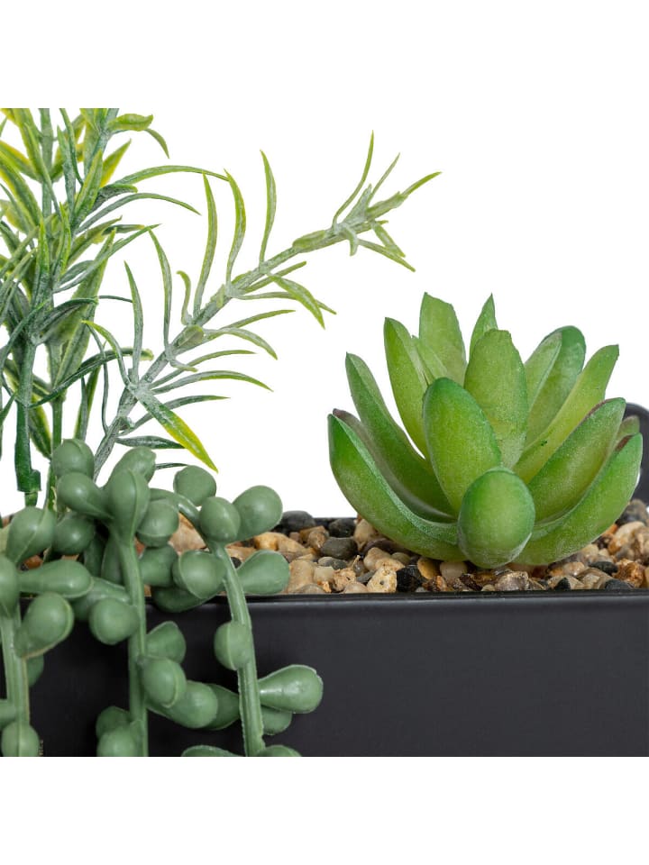 Atmosphera Créateur d'intérieur Zimmerpflanze in schwarz günstig kaufen onesize