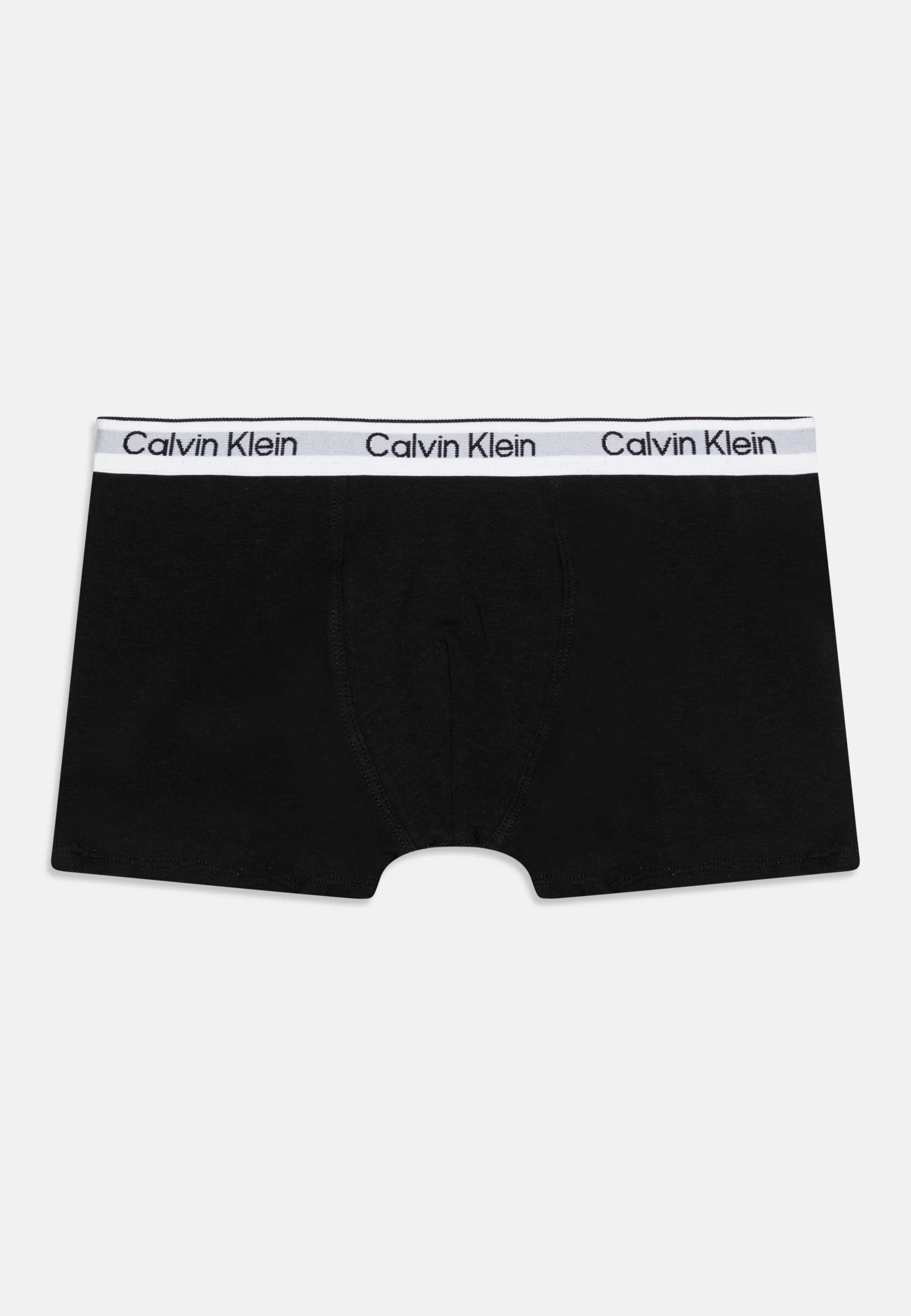 Calvin Klein Underwear TRUNK PACK DE 5 - Culotte