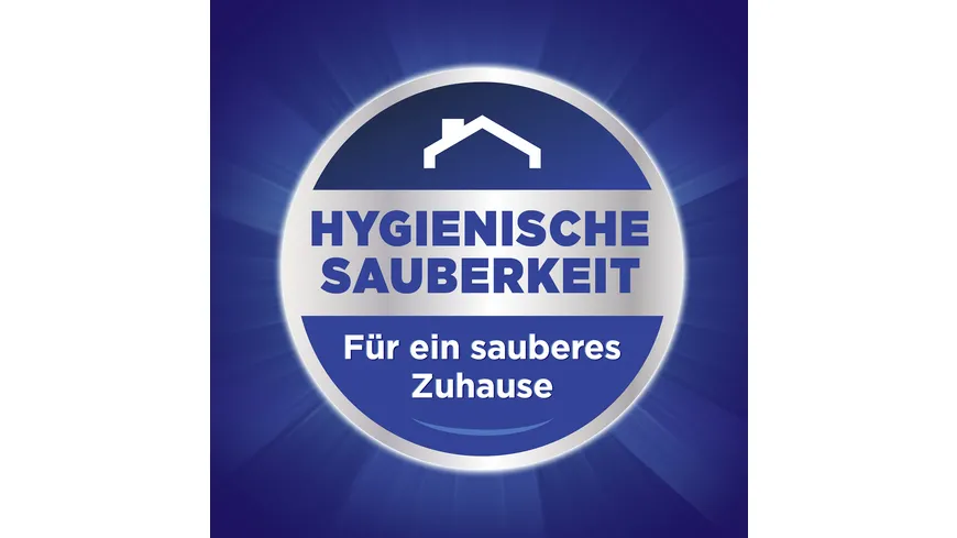 Der General Allzweckreiniger Frische Zitrone 750 ml