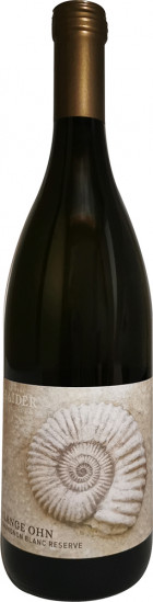 2021 Lange Ohn Sauvigon Blanc Reserve trocken - Weingut Haider Thomas