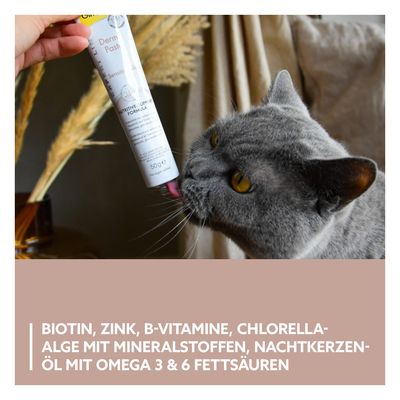 GimCat Derma Paste