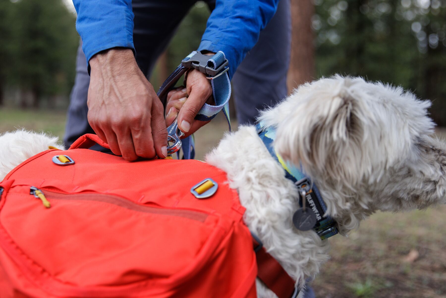 Ruffwear Hundehalsbänder Ruffwear Hundehalsband Crag™ blau/ türkis L