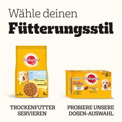 Pedigree Junior Frischebeutel Multipack