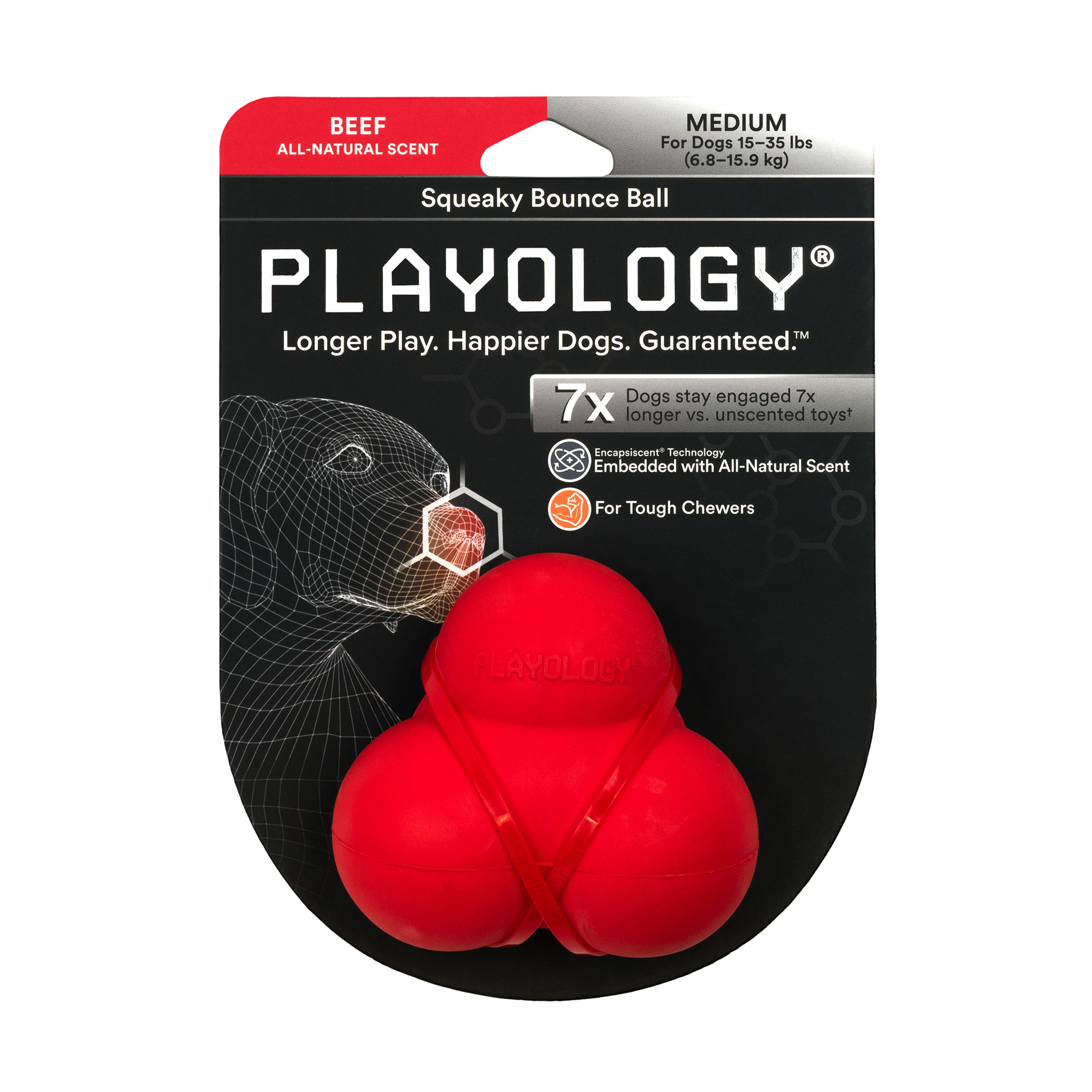 Playology Hundebälle Playology Squeaky Bounce Ball Beef Medium