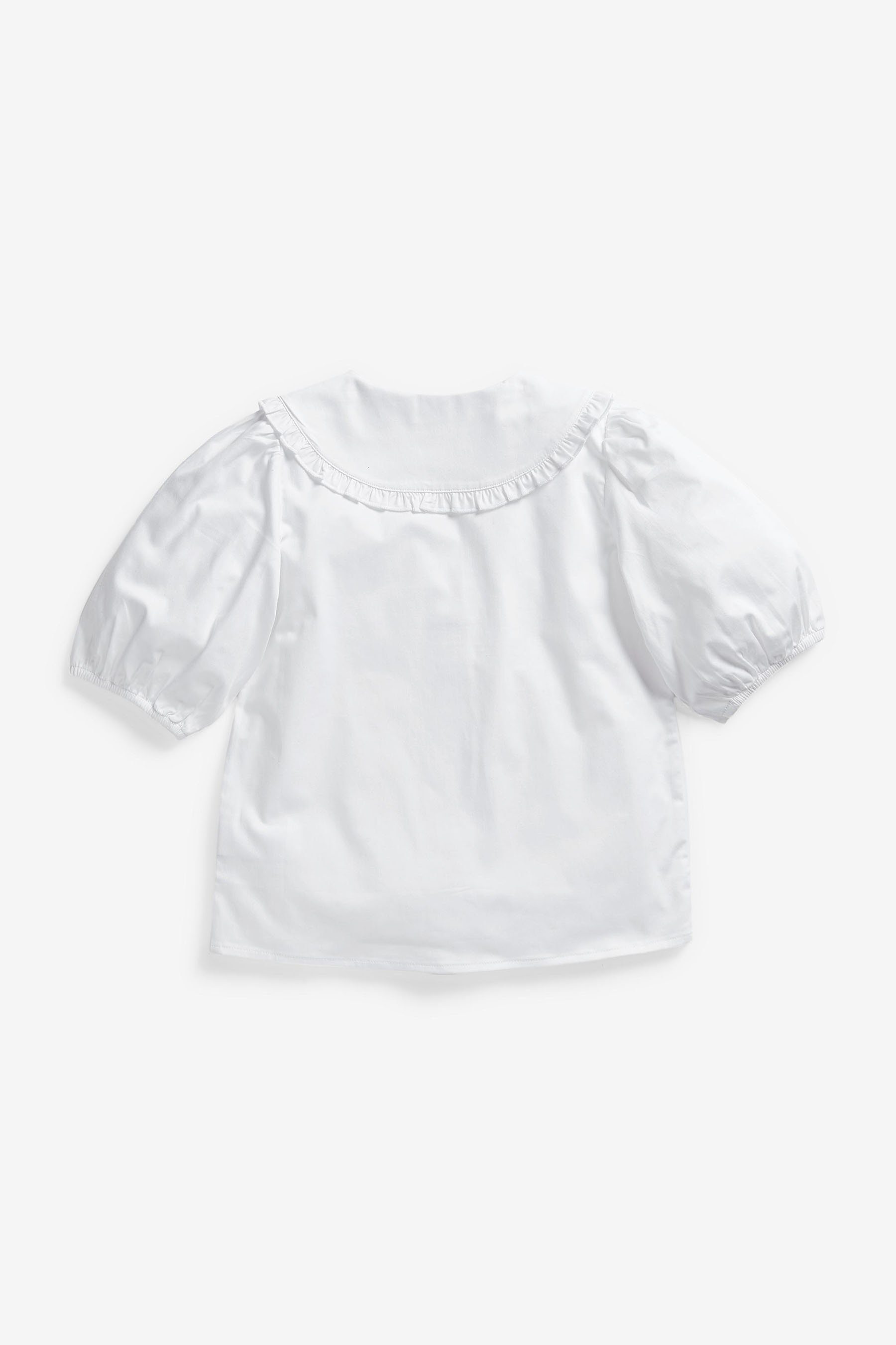 Next Langarmbluse Premium-Bluse mit Baumwolle, Stretch und Kragen (1-tlg)