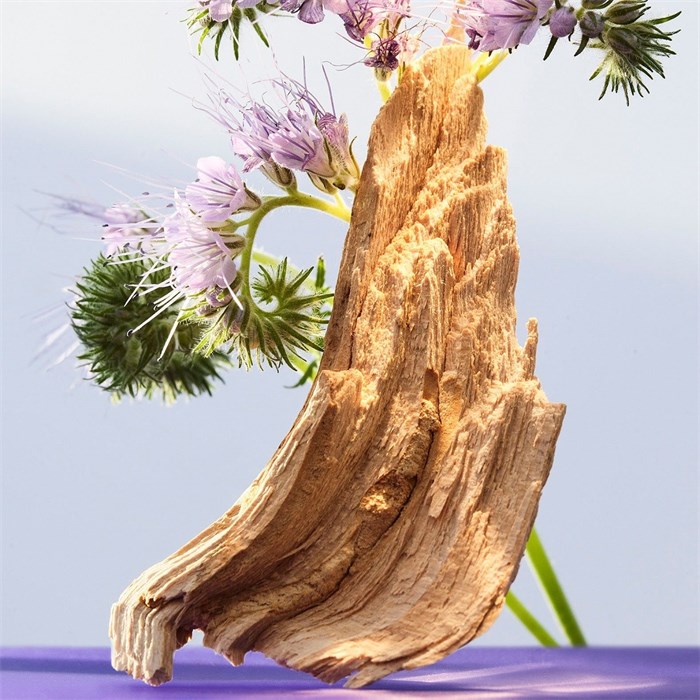 Eau de Toilette Spray