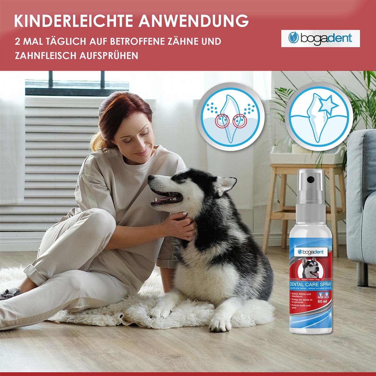 bogadent Zahnpflege-Spray Hund 50 ml günstig kaufen bei ZooRoyal