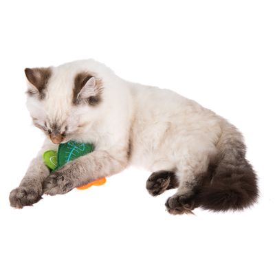 Katzenspielzeug Marlin