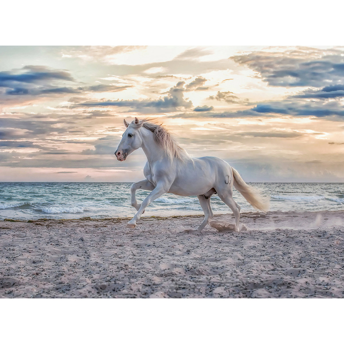 Puzzle Pferd am Strand, 500 Teile