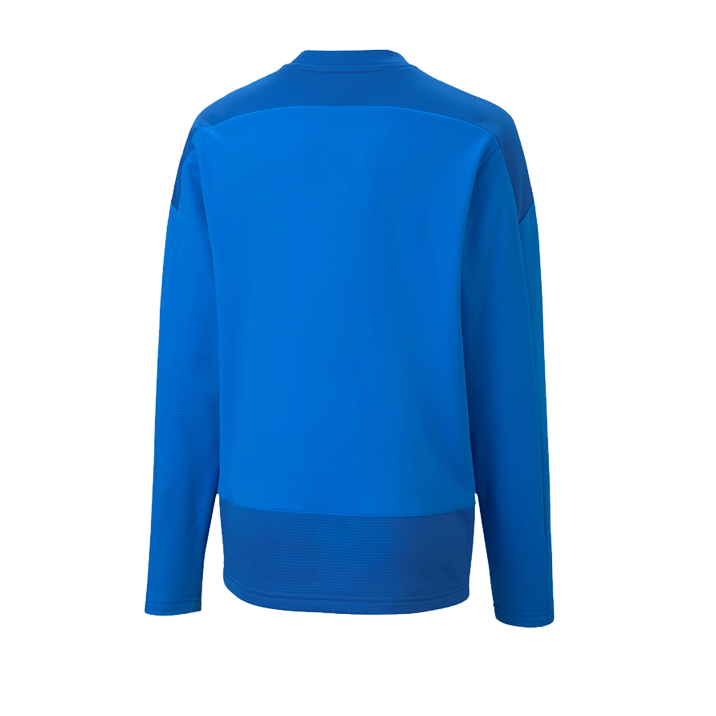 PUMA teamGOAL 23 Training Sweatshirt Kids Blau F02