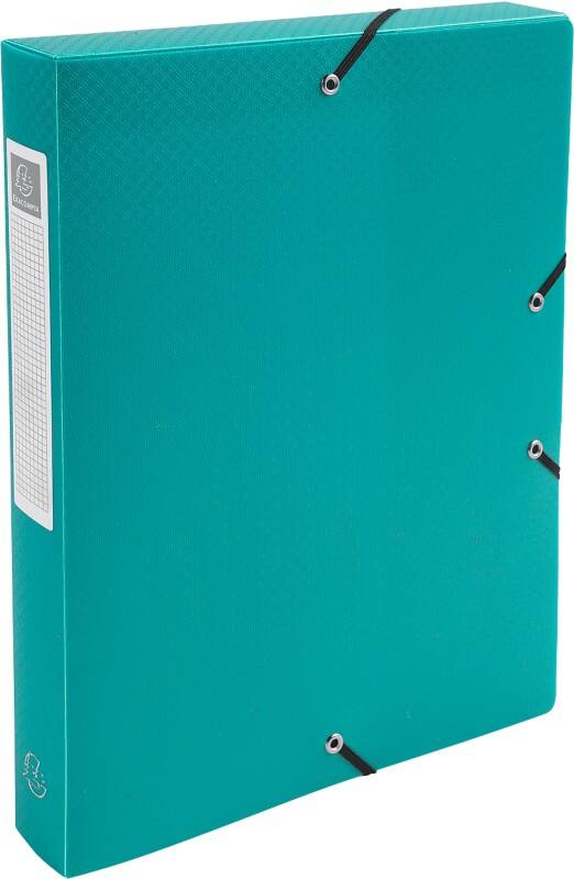 Exacompta Archivboxen 59783E DIN A4 Grün Polypropylen 25 x 33 cm 8 Stück