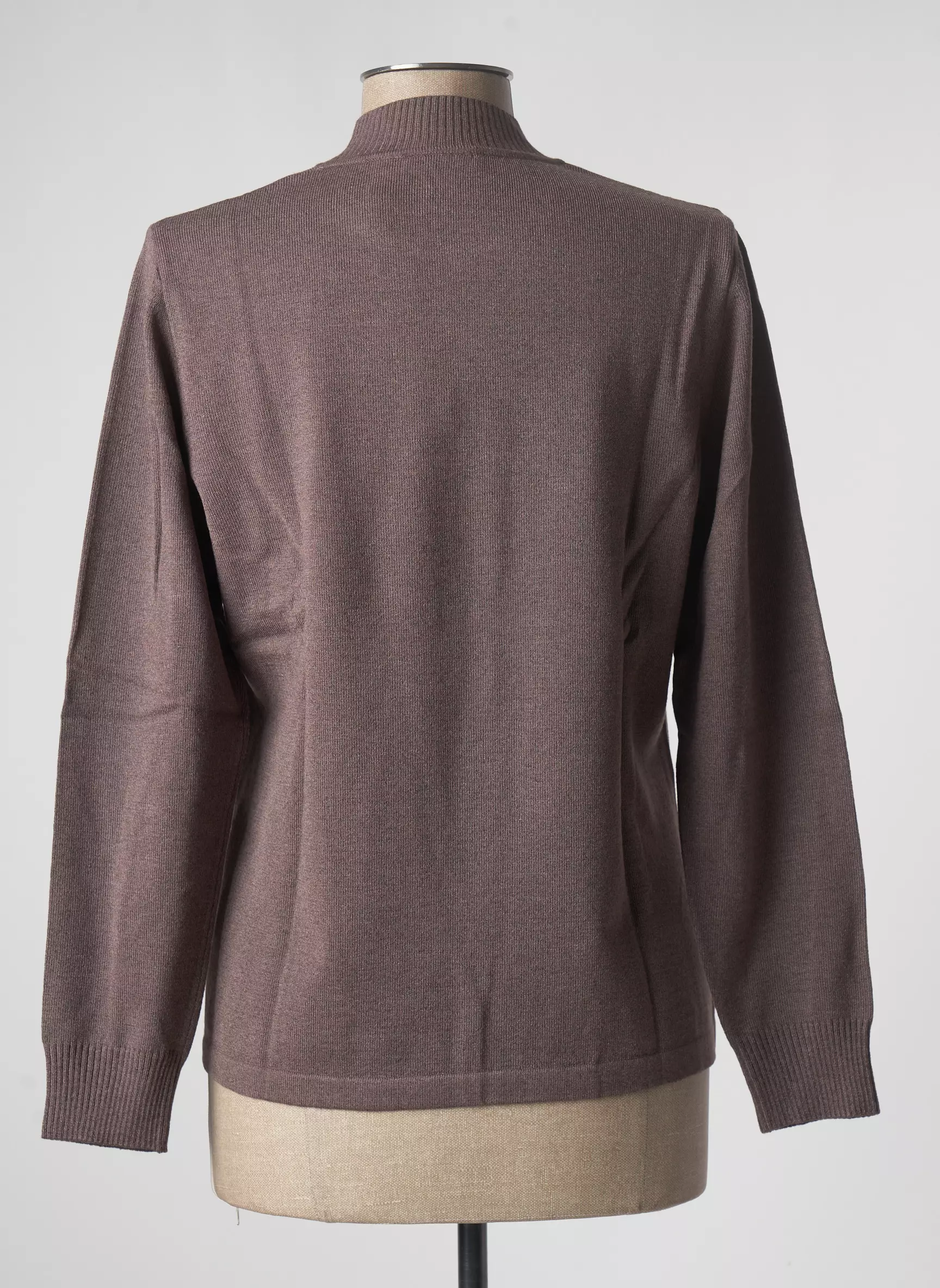 Rabe Pulls Femme couleur marron