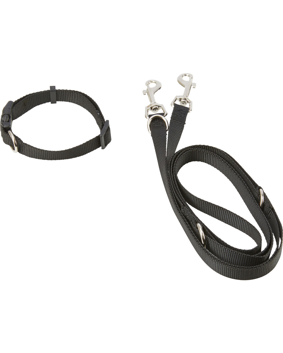 Hundeleine + Hundehalsband