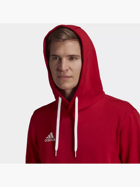 adidas Entrada 22 Sweat Hoodie