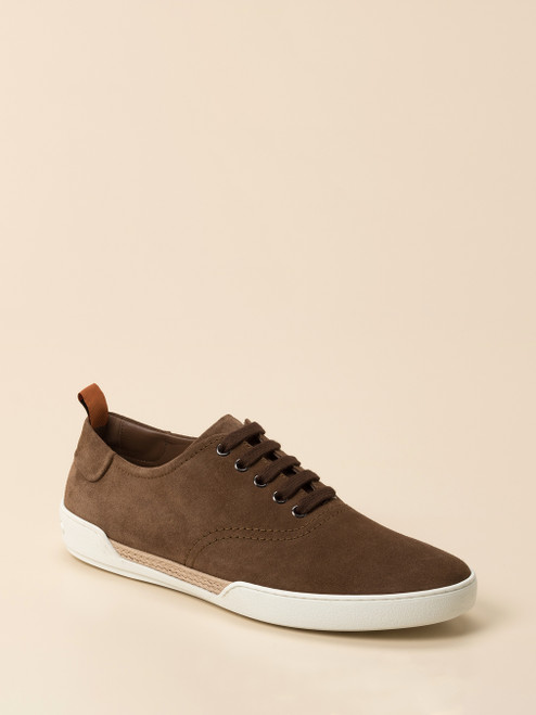 Schnürschuh-46102290333 Tod's