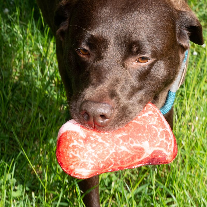 TIAKI Hundespielzeug Steak zu TOP-Preisen