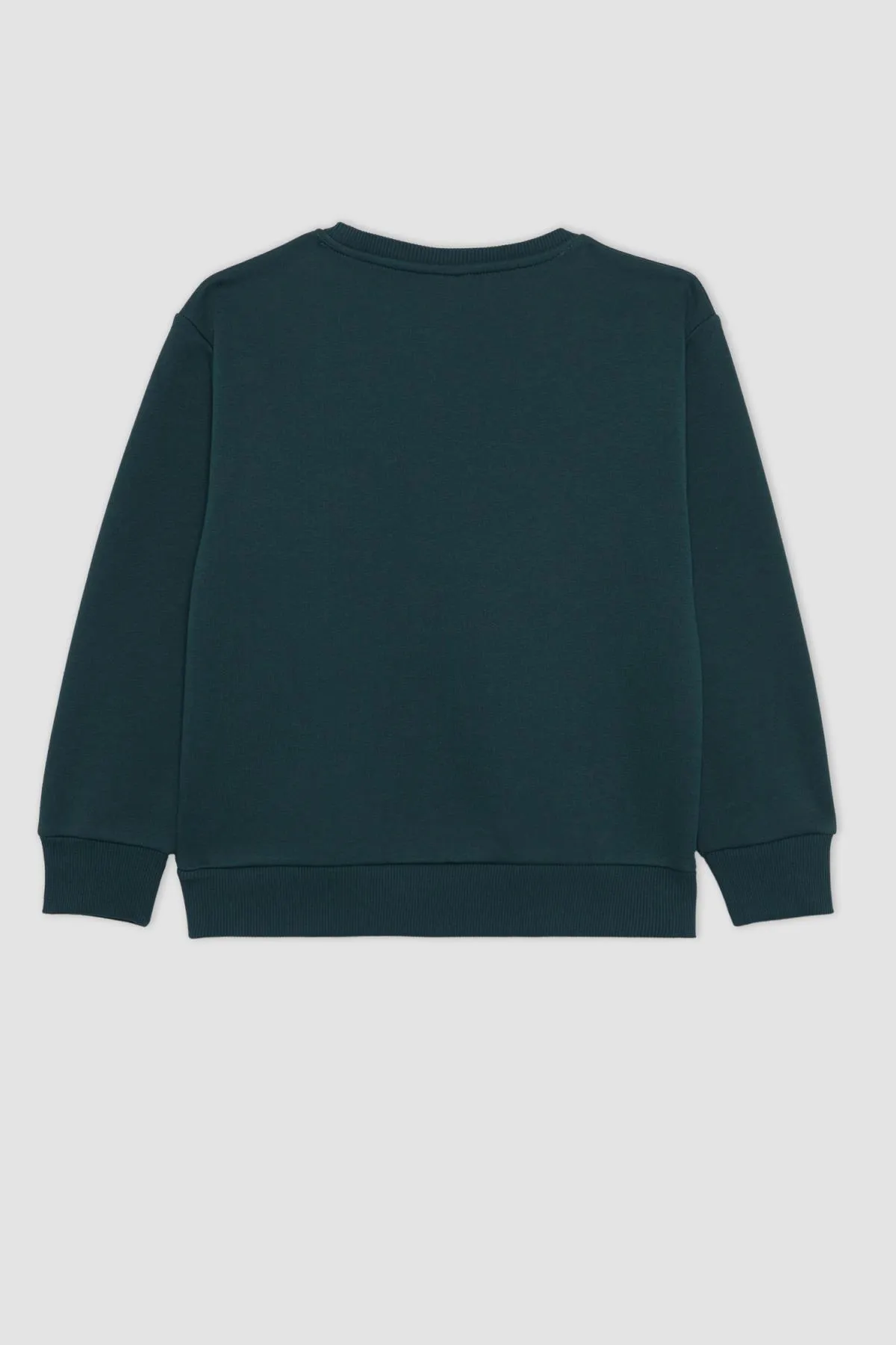 DeFacto  Dickes Sweatshirt-Sweatshirt mit normaler Passform und Rundhalsausschnitt für Jungen