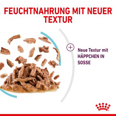 Royal Canin Sensory Feel in Soße