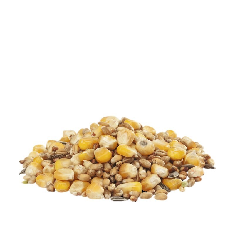 Versele-Laga Futter & Heu Versele-Laga GRA-MIX Hennenmischung 20kg