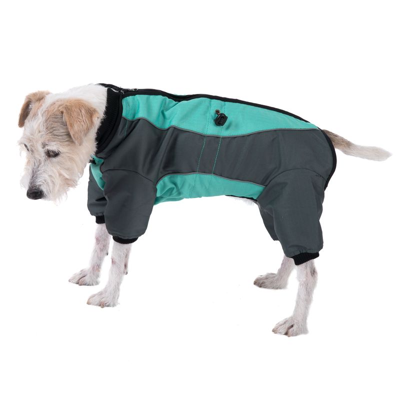 Hundeoverall Mint zu TOP-Preisen