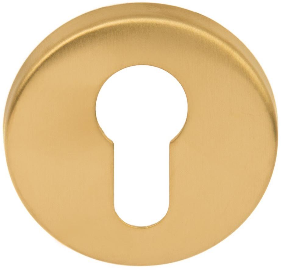 Formani 1501Y002IMXX0 BASICS LBY50 cylinderplade 6 mm PVD mat guld