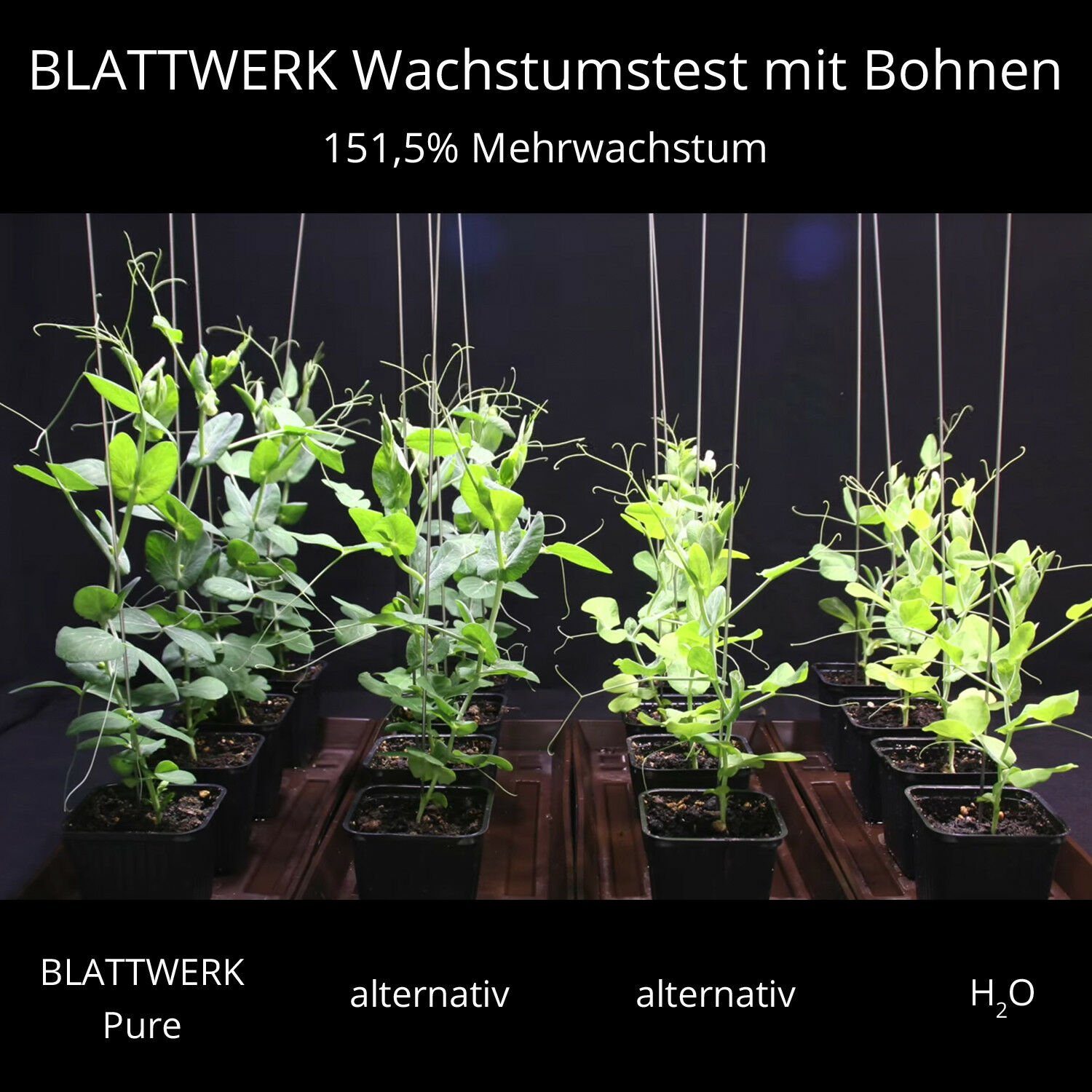 BIOFABRIK Bio-Erde BLATTWERK Dünger, Biodünger, Universaldünger vegan, (1-St)