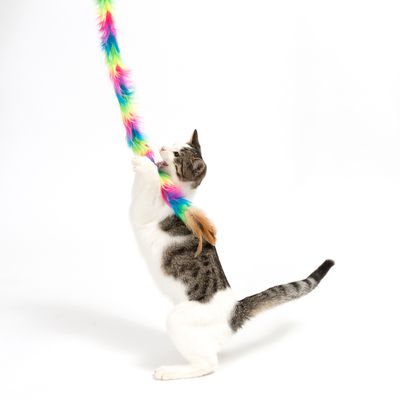 Katzenangel Unicorn