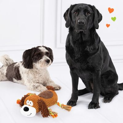 Doglove Hundespielzeug Pooch